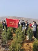 植樹(shù)造林